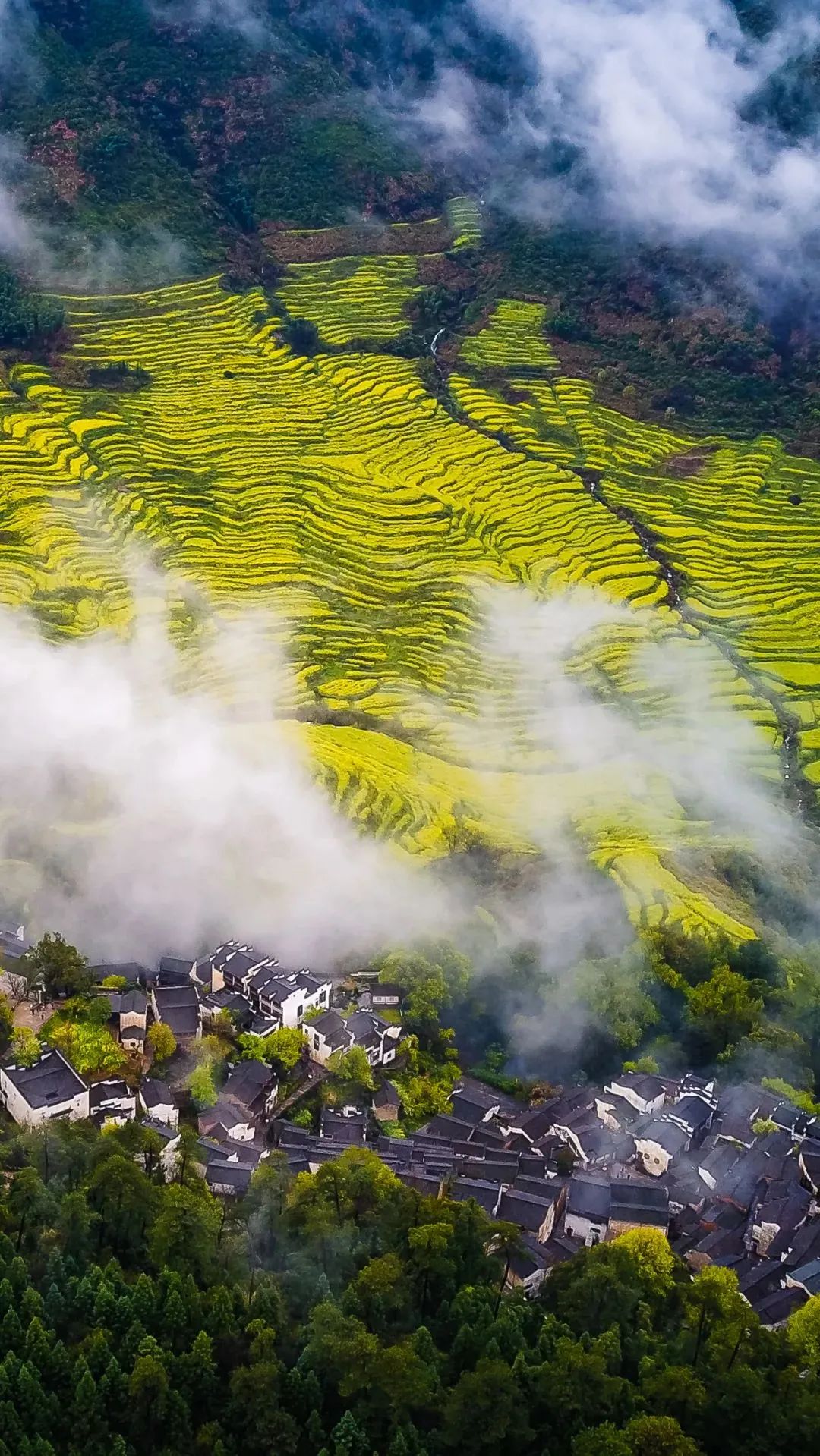江西,历史与现代交织的韵味