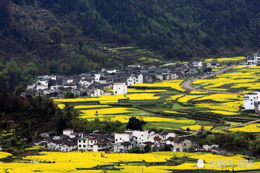 江西,梦想沃土,自信之源