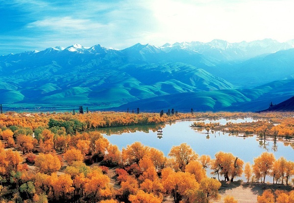 新疆之旅,初学者指南解锁神秘美丽新疆